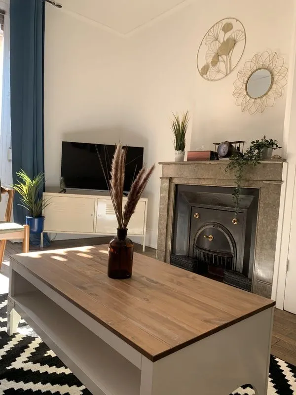 Location Villeurbanne Appartement 6a25c5057727