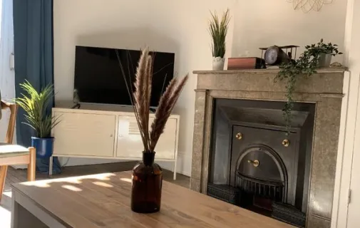 Location Villeurbanne Appartement 6a25c5057727