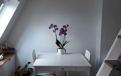 Location Paris Appartement 6a25ca70d5e4