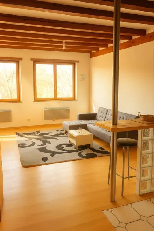 Location Strasbourg Appartement 6a25e5965f56