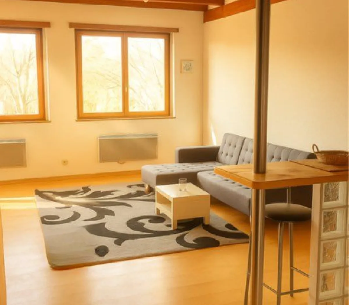 Location Strasbourg Appartement 6a25e5965f56