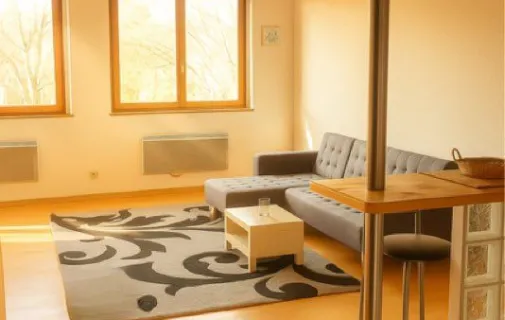 Location Strasbourg Appartement 6a25e5965f56