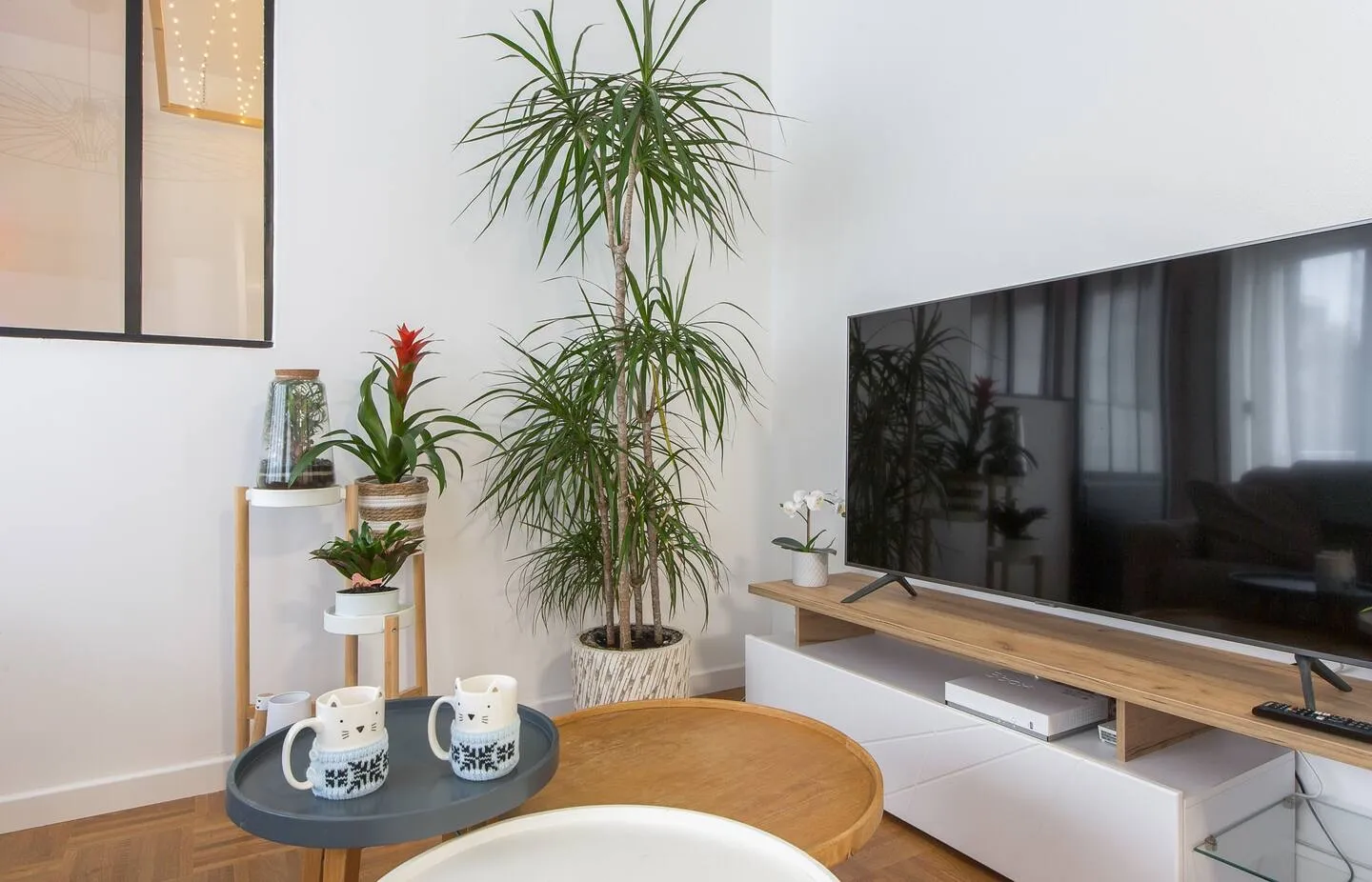 Location Villeurbanne Appartement 6a267c7789a6