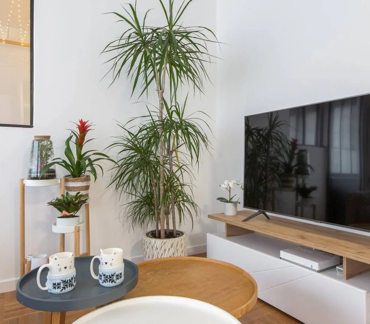 Location Villeurbanne Appartement 6a267c7789a6