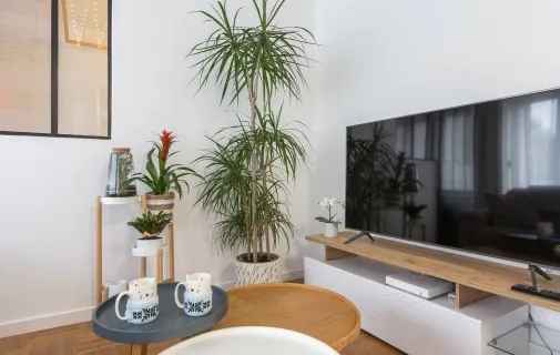 Location Villeurbanne Appartement 6a267c7789a6