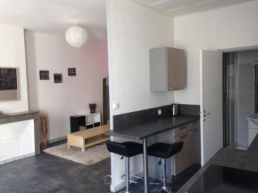 Location Saint-Étienne Appartement 6a27542a1325