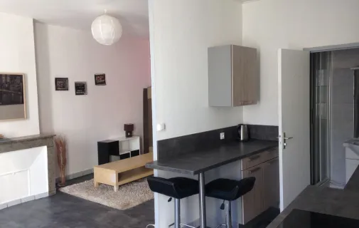 Location Saint-Étienne Appartement 6a27542a1325