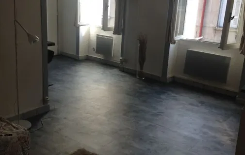 Location Saint-Étienne Appartement 6a27542a1325