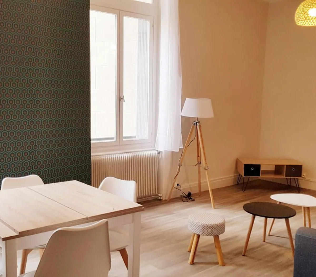 Location Saint-Étienne Appartement 6a2756e73a72