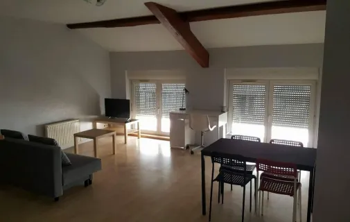 Location Saint-Étienne Appartement 6a2756f314d7