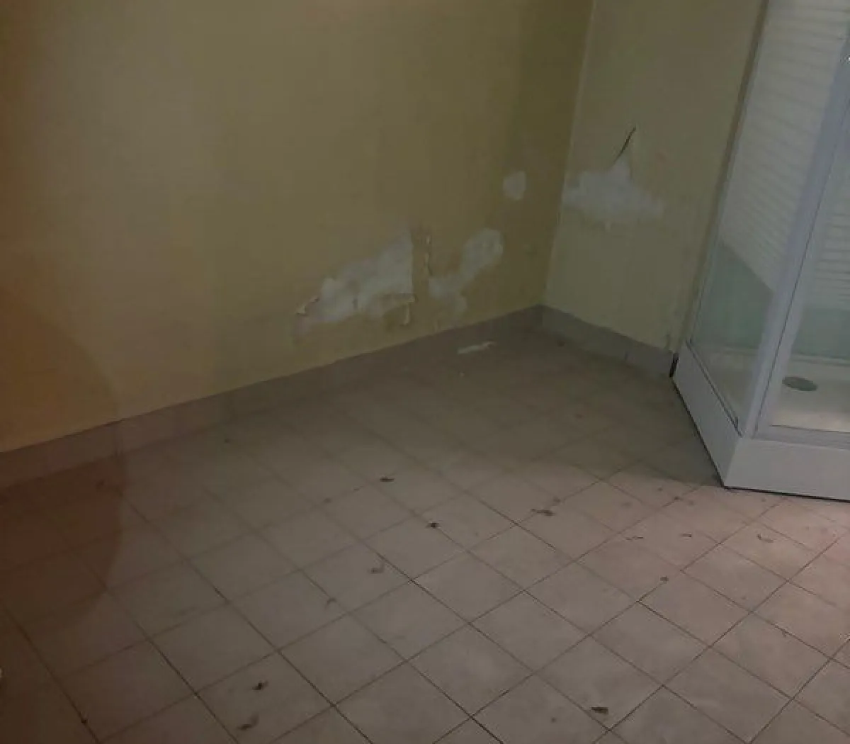 Location Paris Appartement 6a28282605c3