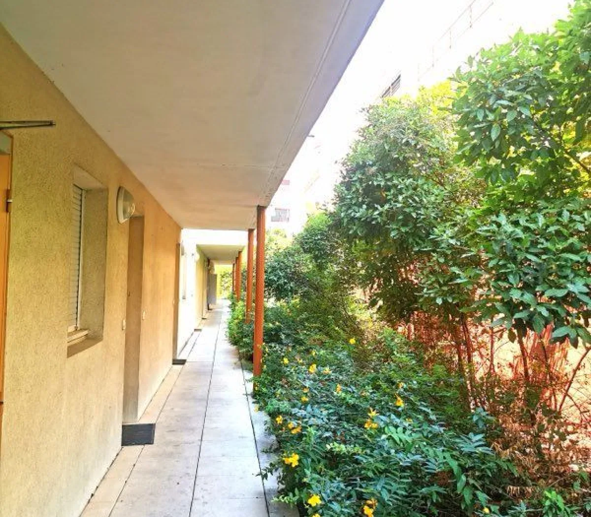 Location Montpellier Appartement 6a2891c843a2