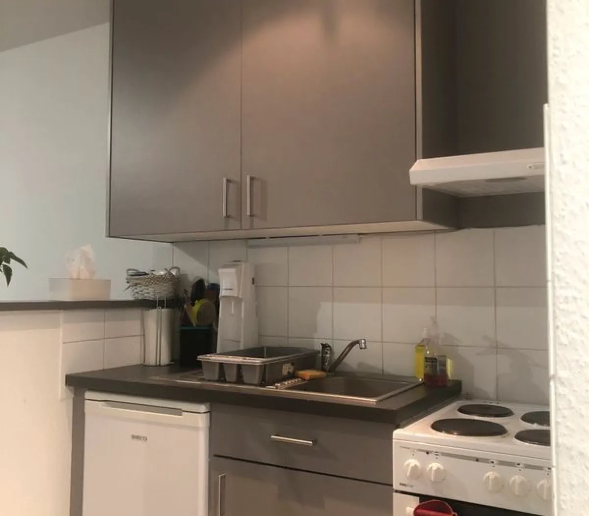 Location Strasbourg Appartement 6a29bcf8ac88