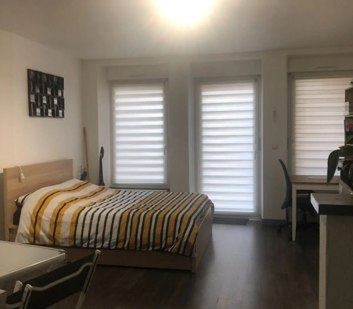 Location Strasbourg Appartement 6a29bcf8ac88