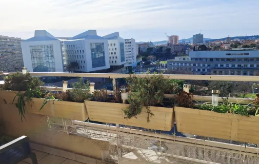 Location Toulon Appartement 6a2a893ab79e
