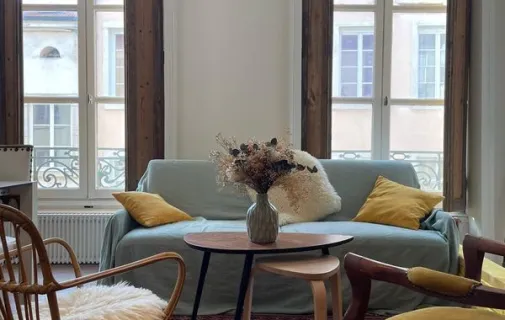 Location Lyon Appartement 6a2ace49271c