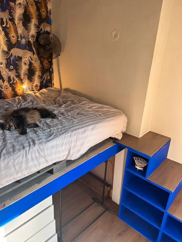 Location Lyon Appartement 6a2ace49271c