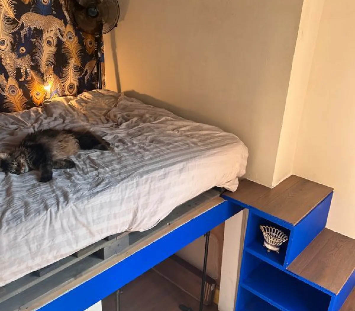 Location Lyon Appartement 6a2ace49271c
