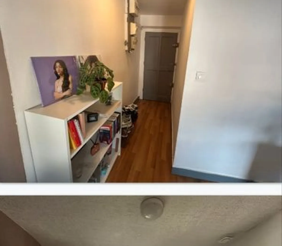 Location Grenoble Appartement 6a2b14a3298e