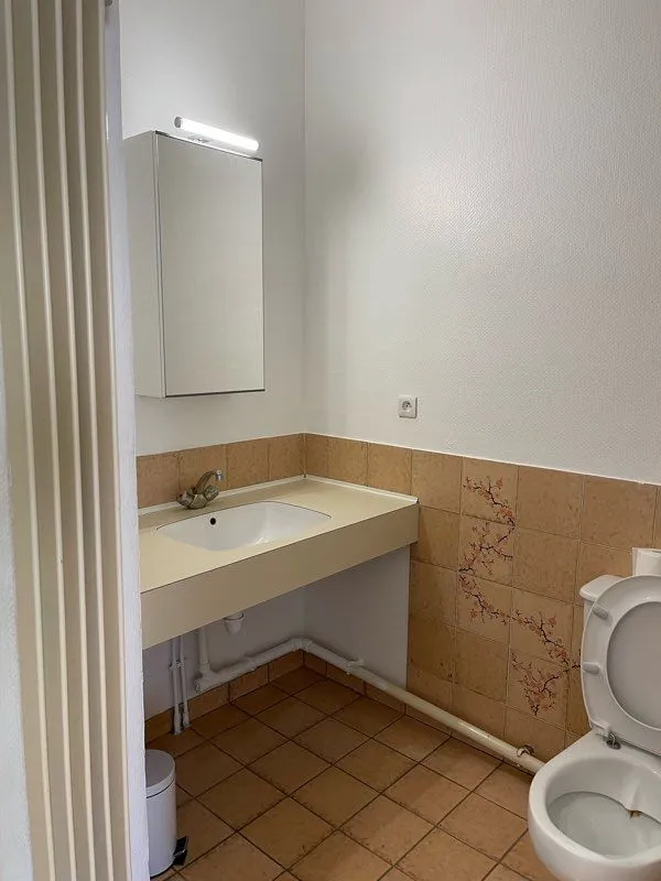 Location Metz Appartement 6a2b2b4c1fd9