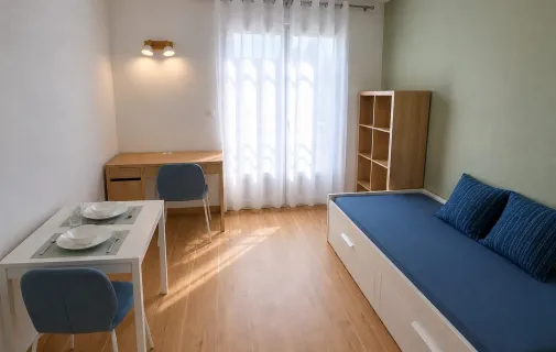 Location Lyon Appartement 6a2bc08aaf3a