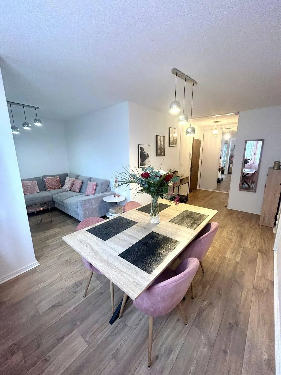 Location Villeurbanne Appartement 6a2bc1eb15da