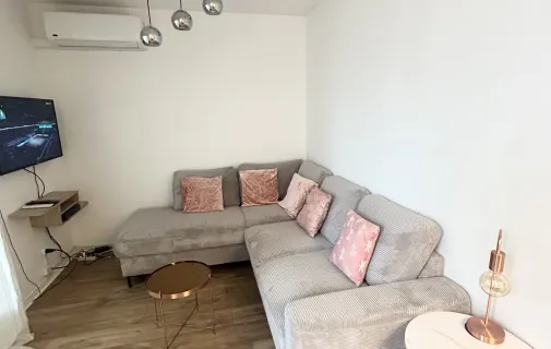 Location Villeurbanne Appartement 6a2bc1eb15da