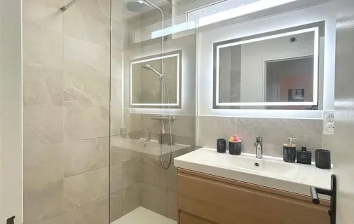 Location Villeurbanne Appartement 6a2bc1eb15da