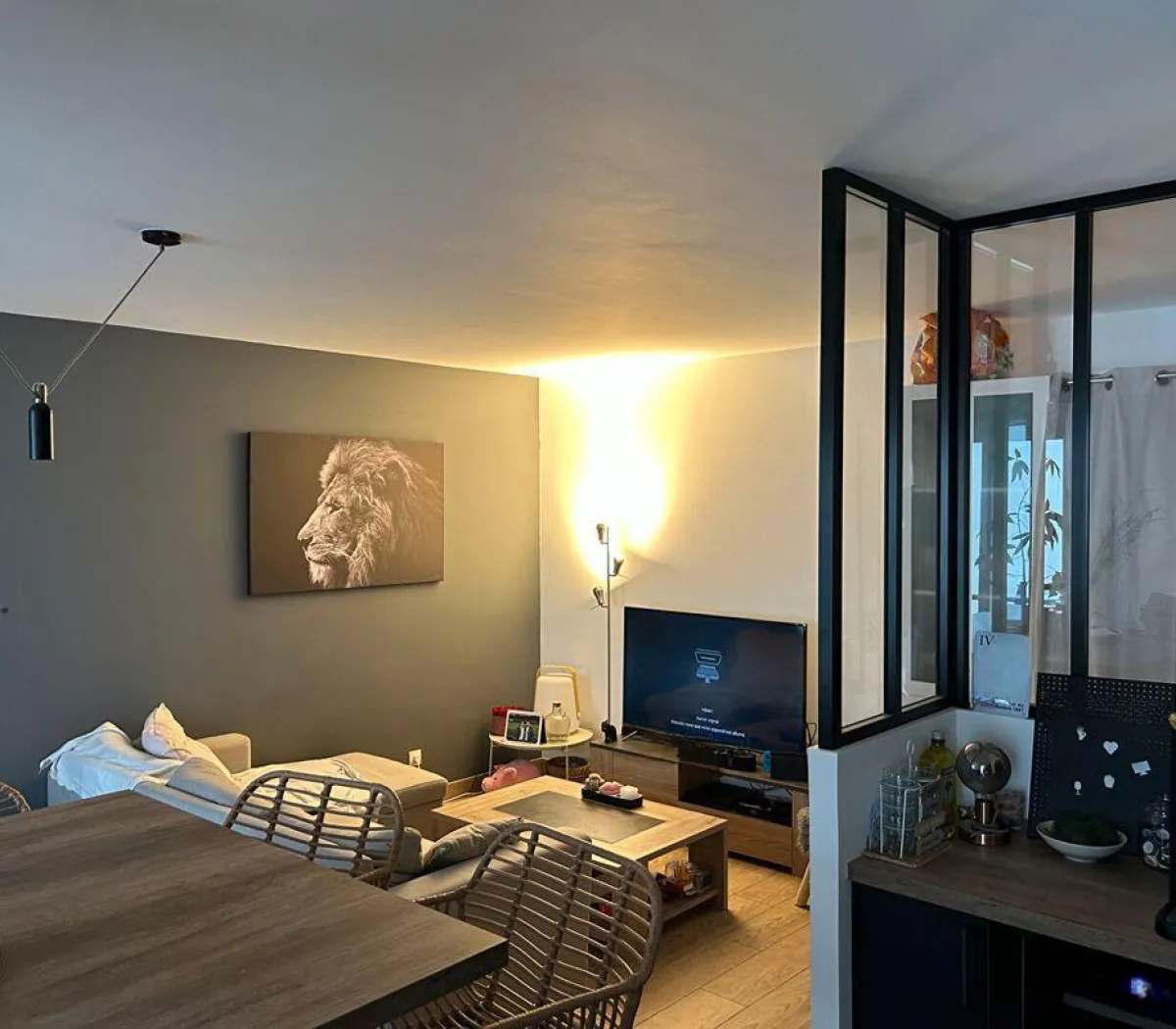 Location Villeurbanne Appartement 6a2c00f636b9