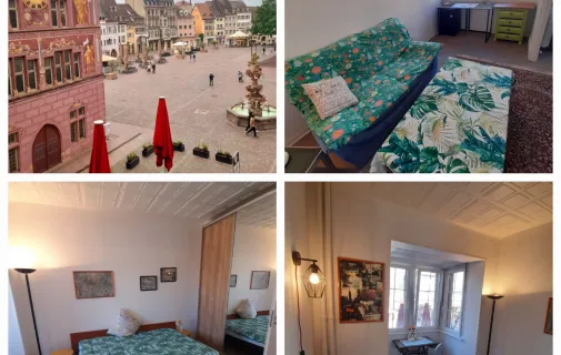 Location Mulhouse Appartement 6a2c6a5b3b04