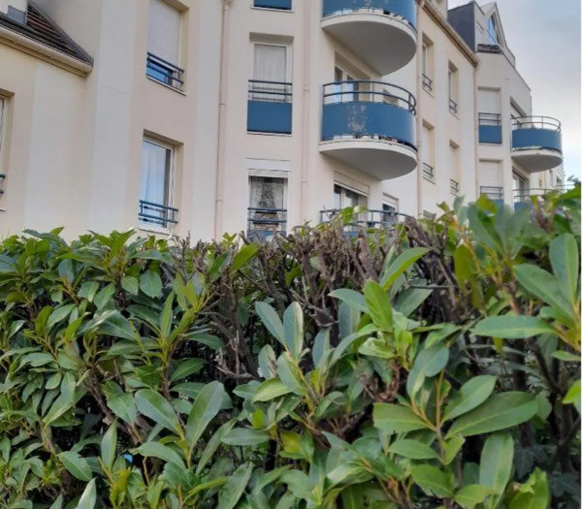 Location L'Haÿ-les-Roses Appartement 6a2c7ef750be