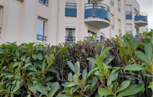 Location L'Haÿ-les-Roses Appartement 6a2c7ef750be