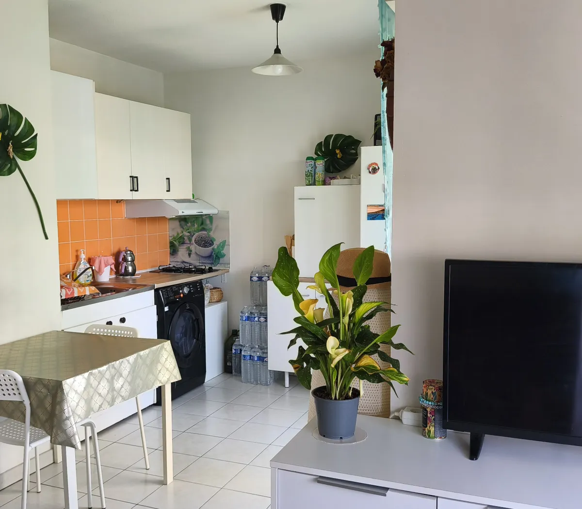 Location Marseille Appartement 6a2ec4c06cc6