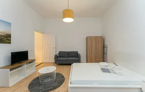 Location Nice Appartement 6a2f4994bfc5
