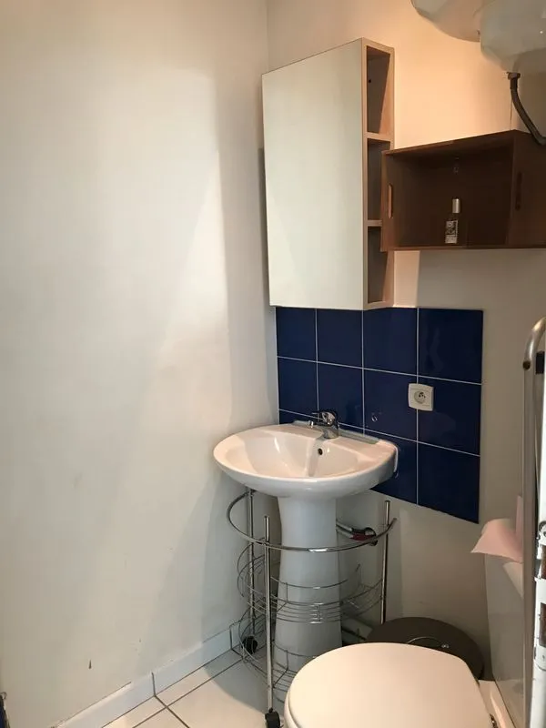 Location Lyon Appartement 6a30f9878104