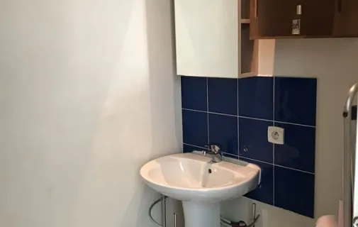 Location Lyon Appartement 6a30f9878104