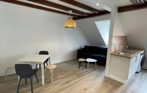 Location Strasbourg Appartement 6a310c4b4638