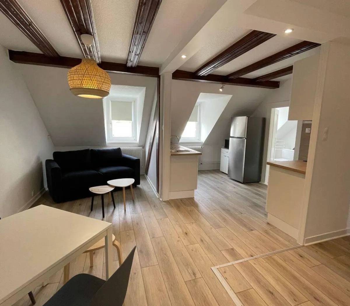 Location Strasbourg Appartement 6a310c4b4638