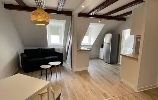 Location Strasbourg Appartement 6a310c4b4638