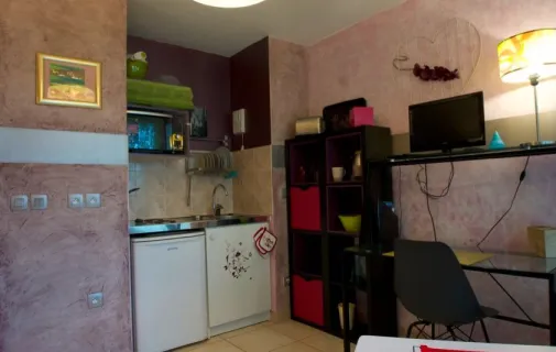 Location Grenoble Appartement 6a31188b455f