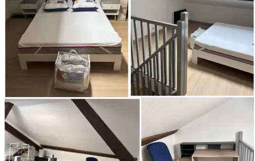 Location Nancy Appartement 6a314d0315da