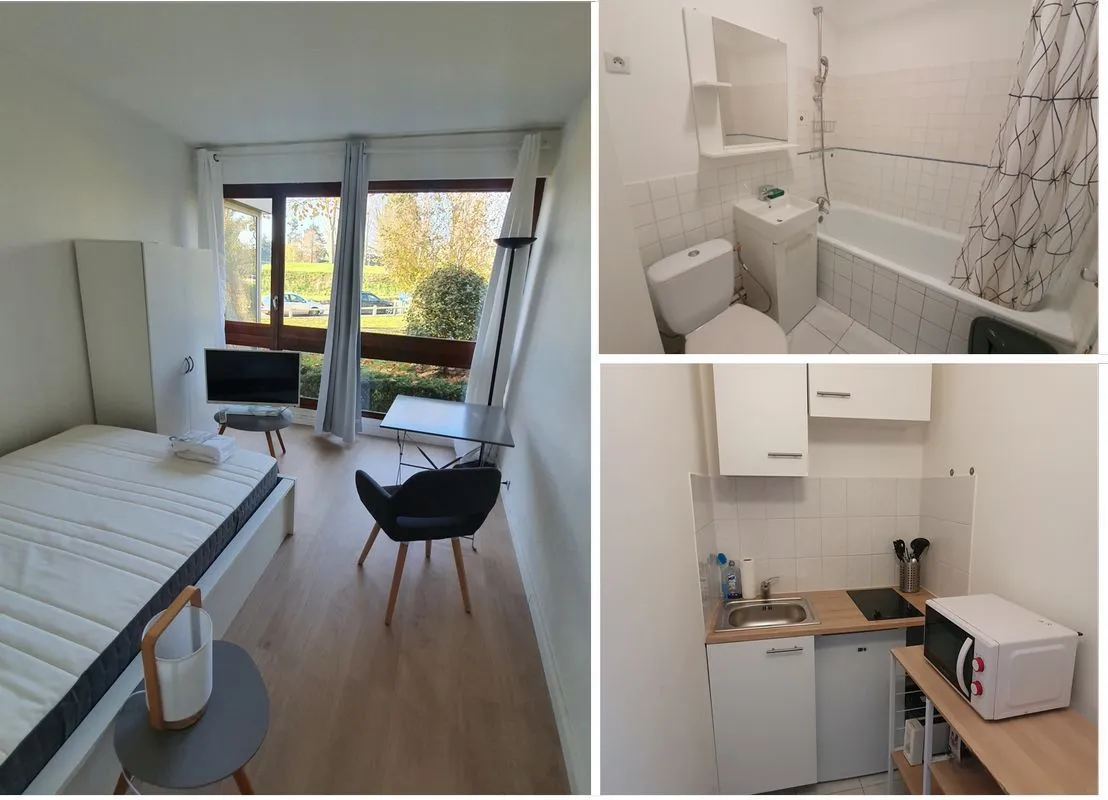 Location Le Chesnay-Rocquencourt Appartement 6a31d0a758ba