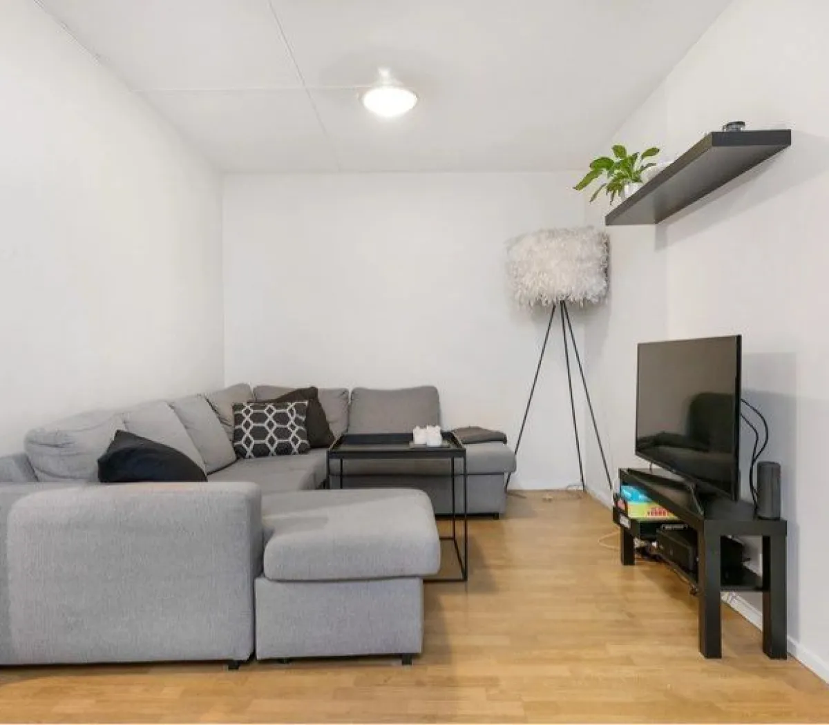 Location Montpellier Appartement 6a31de009f35