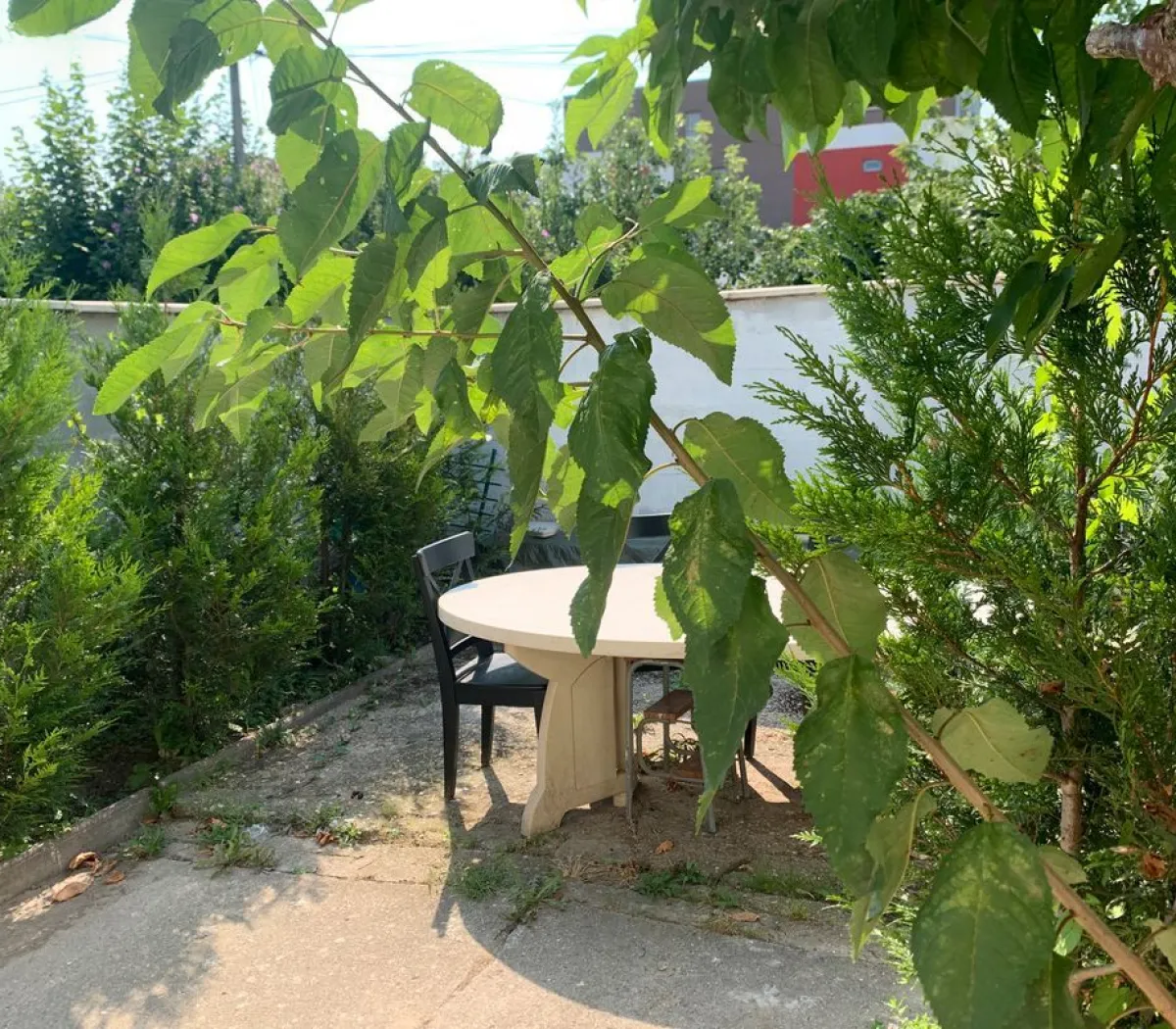 Location Vitry-sur-Seine Appartement 6a327dc503f2