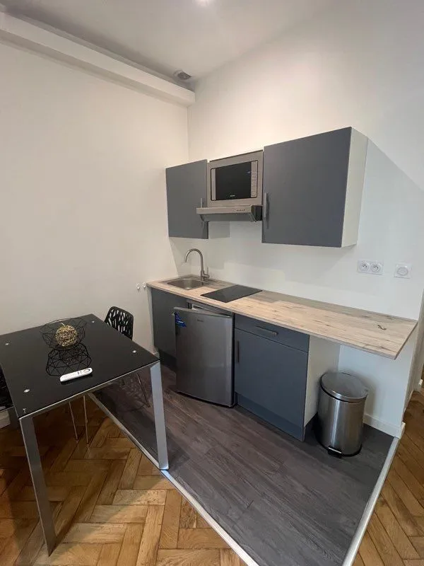 Location Lyon Appartement 6a3298eda0bc