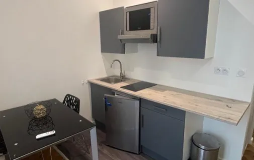Location Lyon Appartement 6a3298eda0bc