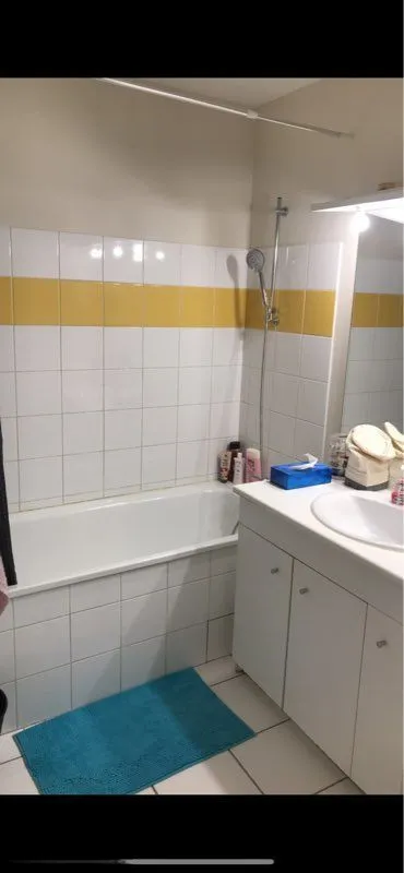 Location Lyon Appartement 6a3298ffdaf0