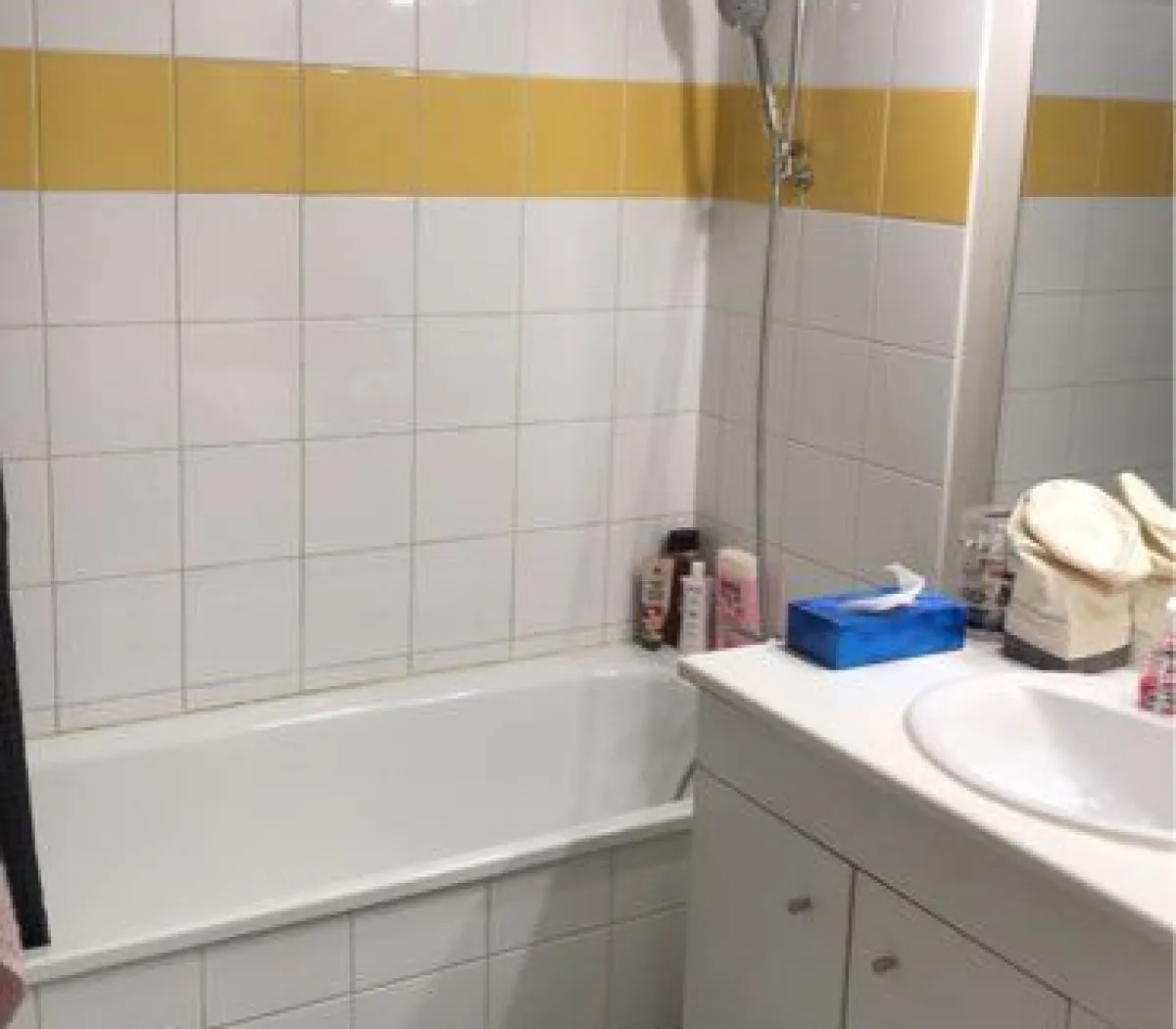 Location Lyon Appartement 6a3298ffdaf0