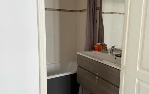 Location Lyon Appartement 6a3299104695