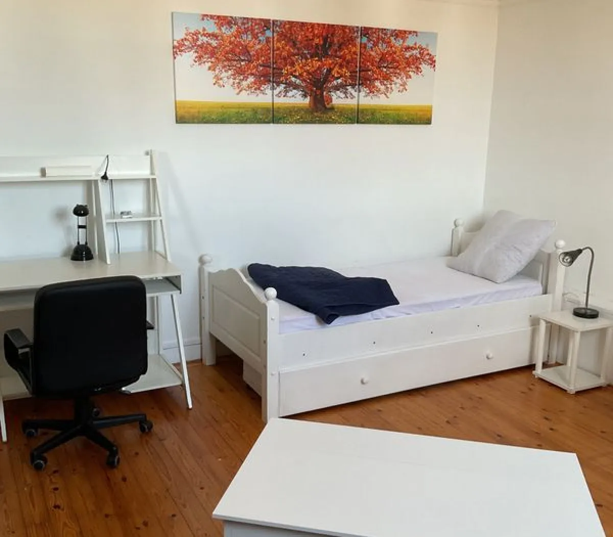 Location Tourcoing Appartement 6a331344e8ae